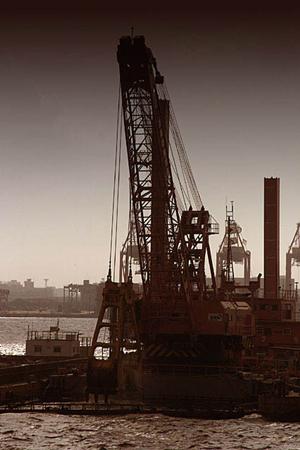 水分を含んだ食物残渣は危険です